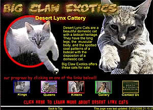 Big Claw Exotics